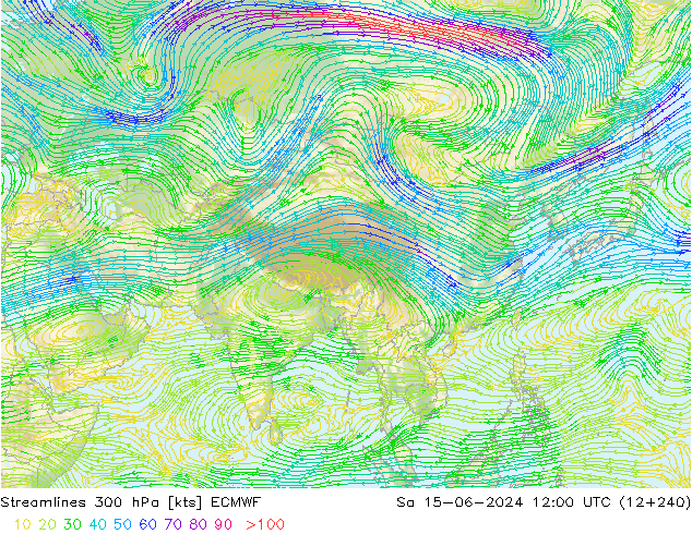 Linea di flusso 300 hPa ECMWF sab 15.06.2024 12 UTC