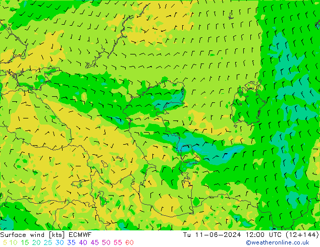 Surface wind ECMWF Tu 11.06.2024 12 UTC