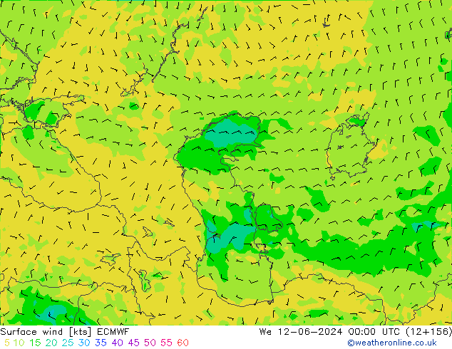 Surface wind ECMWF St 12.06.2024 00 UTC