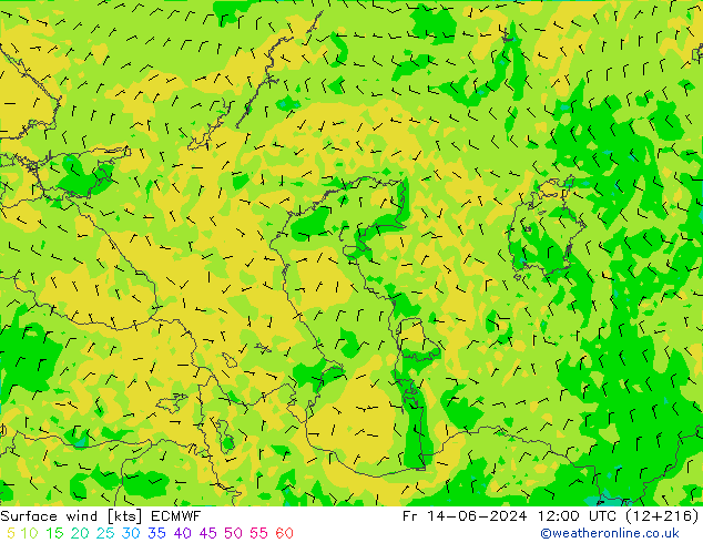 Vento 10 m ECMWF ven 14.06.2024 12 UTC