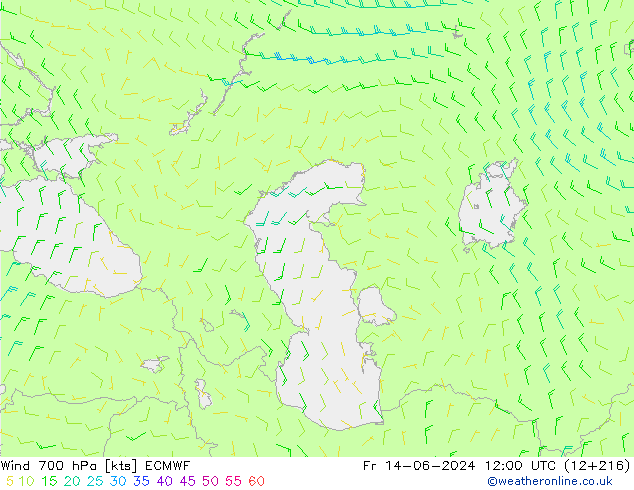 Wind 700 hPa ECMWF Fr 14.06.2024 12 UTC