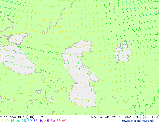 Wind 850 hPa ECMWF ma 10.06.2024 12 UTC