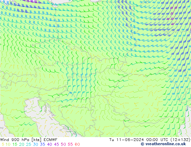 Wind 900 hPa ECMWF Tu 11.06.2024 00 UTC