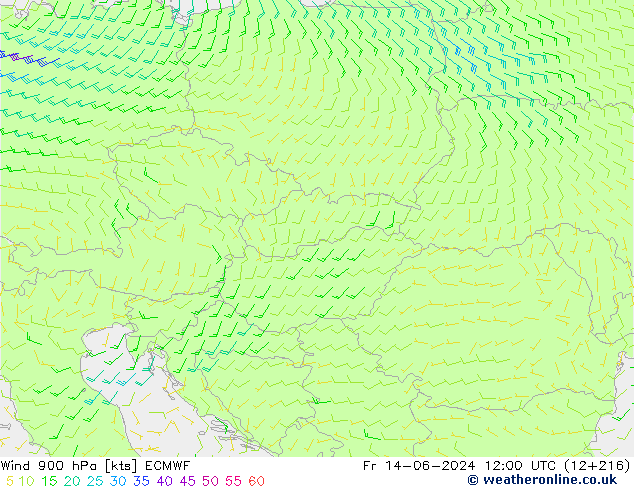 Wind 900 hPa ECMWF Fr 14.06.2024 12 UTC