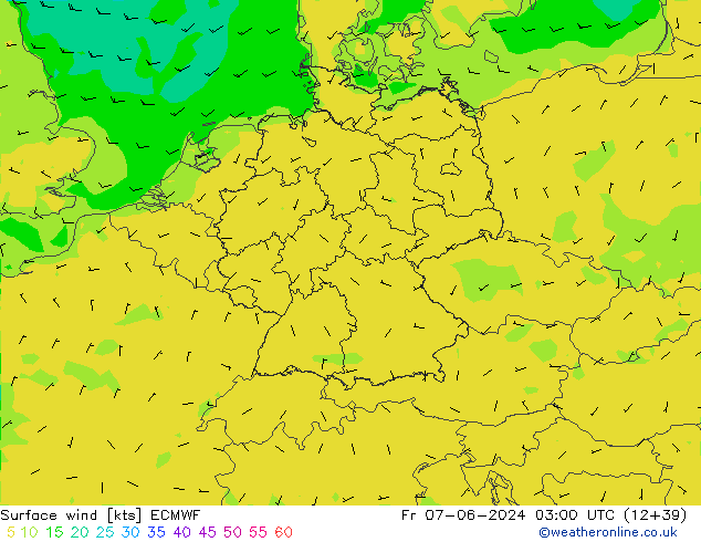 ветер 10 m ECMWF пт 07.06.2024 03 UTC