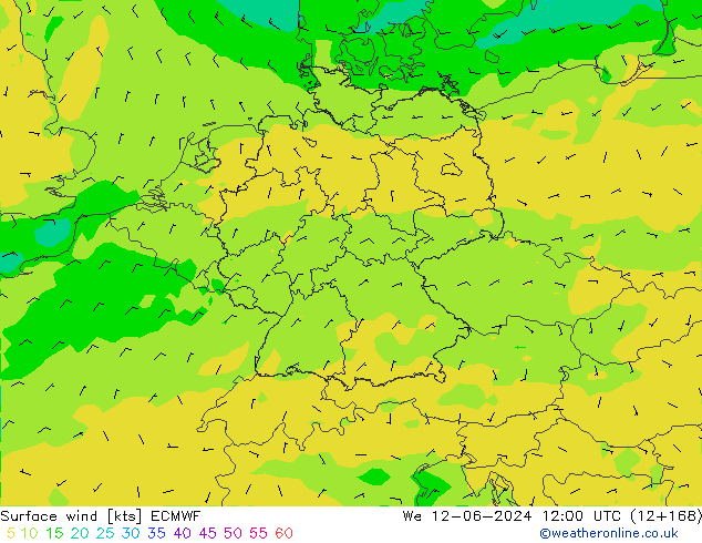 Wind 10 m ECMWF wo 12.06.2024 12 UTC