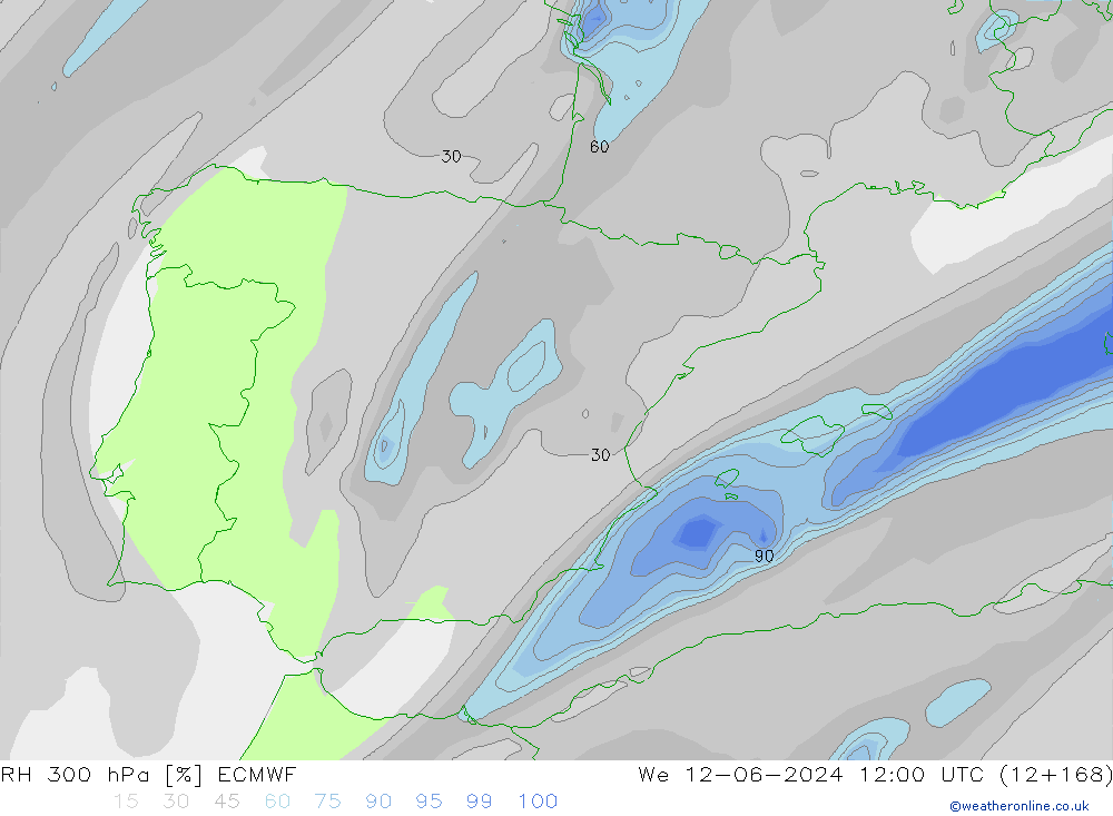 RV 300 hPa ECMWF wo 12.06.2024 12 UTC