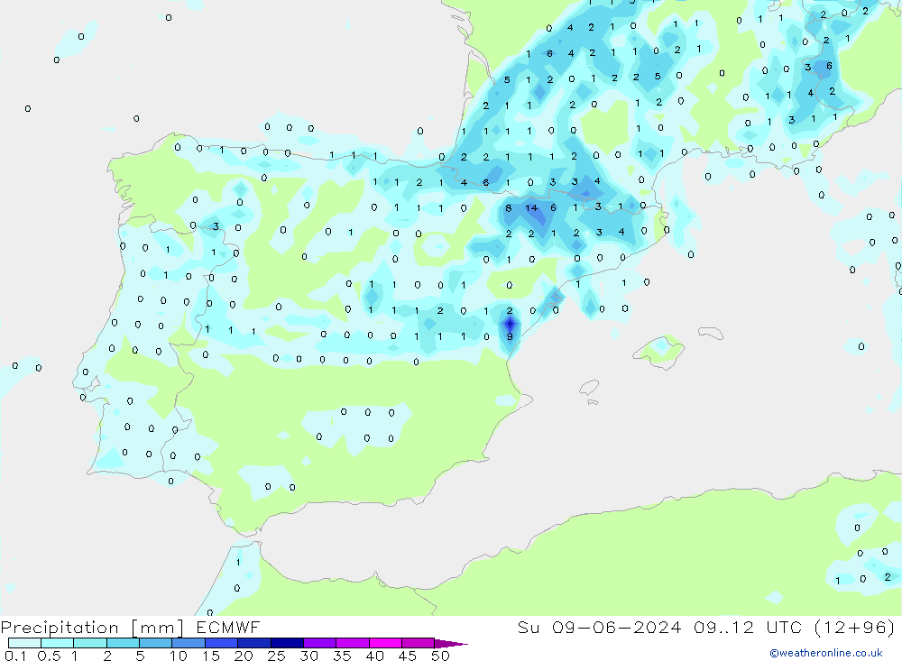 Niederschlag ECMWF So 09.06.2024 12 UTC