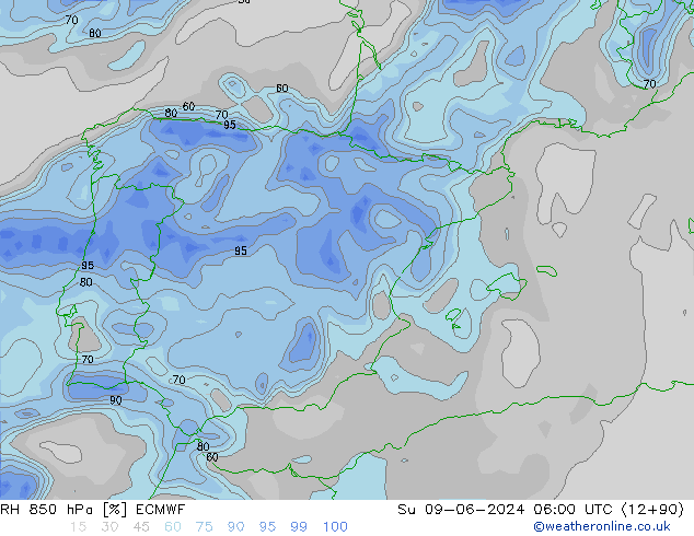 RV 850 hPa ECMWF zo 09.06.2024 06 UTC