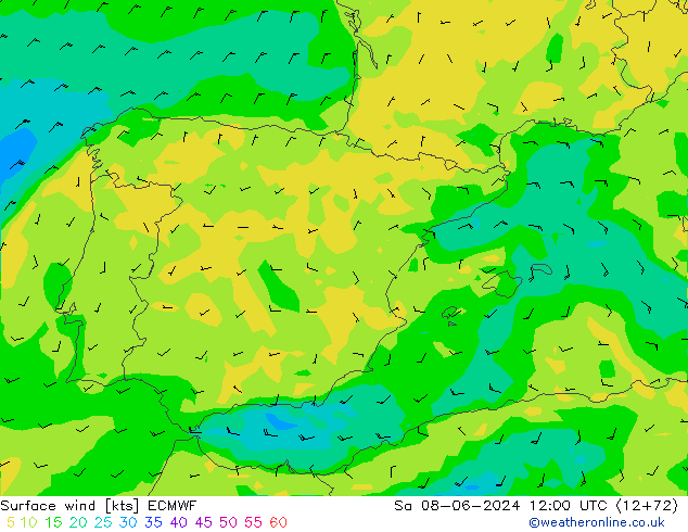 Surface wind ECMWF So 08.06.2024 12 UTC