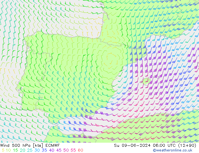 Wind 500 hPa ECMWF Su 09.06.2024 06 UTC