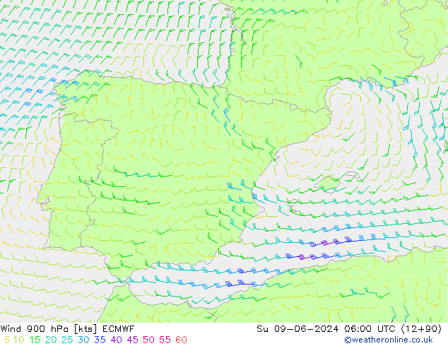 Wind 900 hPa ECMWF Su 09.06.2024 06 UTC