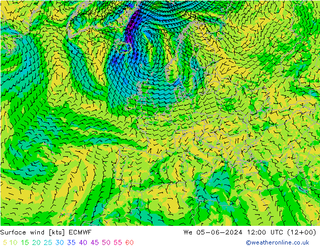 ветер 10 m ECMWF ср 05.06.2024 12 UTC