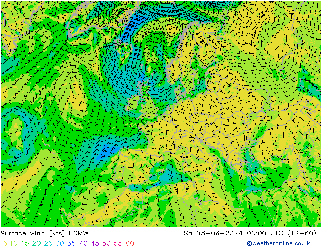  10 m ECMWF  08.06.2024 00 UTC