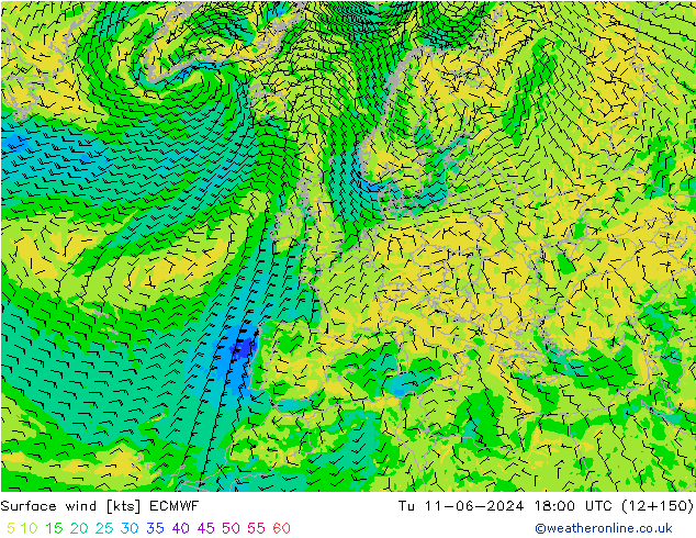 Bodenwind ECMWF Di 11.06.2024 18 UTC