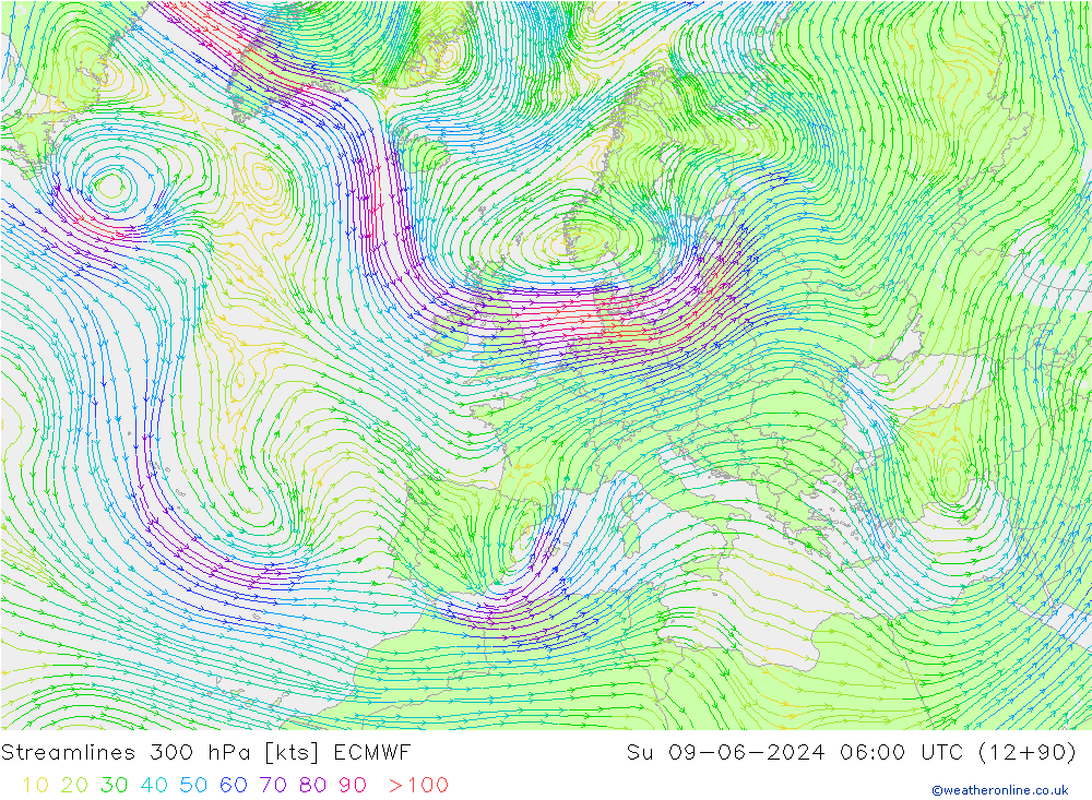 Streamlines 300 hPa ECMWF Ne 09.06.2024 06 UTC