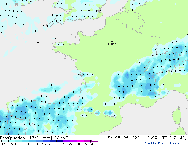 Precipitation (12h) ECMWF Sa 08.06.2024 00 UTC