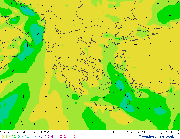 Bodenwind ECMWF Di 11.06.2024 00 UTC