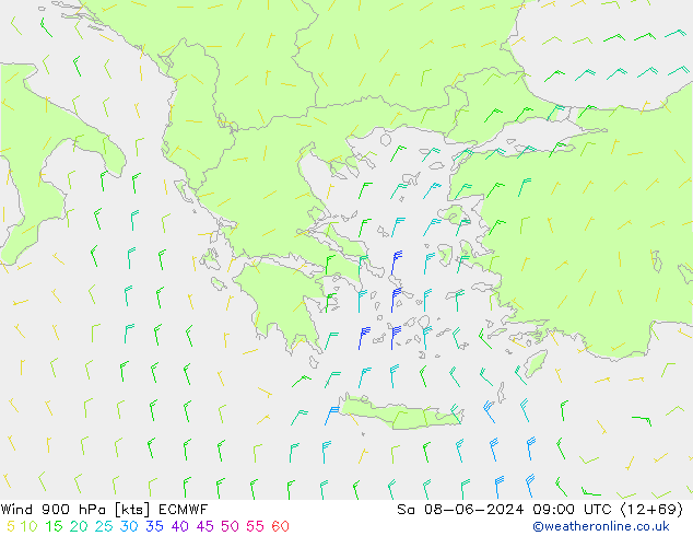 Wind 900 hPa ECMWF Sa 08.06.2024 09 UTC