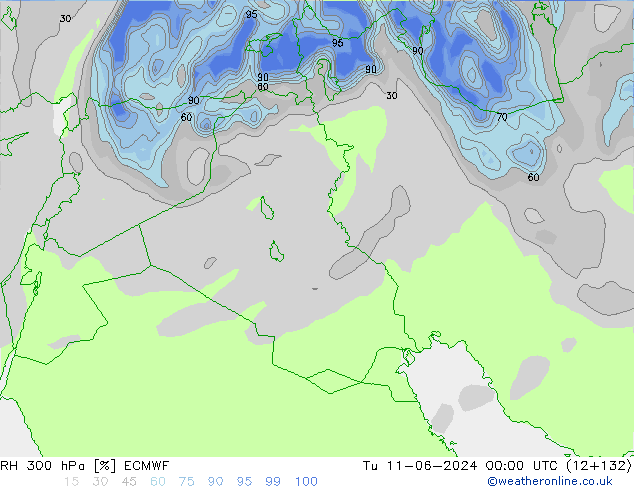 RH 300 hPa ECMWF Tu 11.06.2024 00 UTC