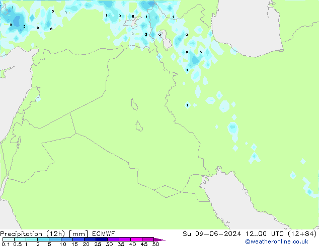 Nied. akkumuliert (12Std) ECMWF So 09.06.2024 00 UTC