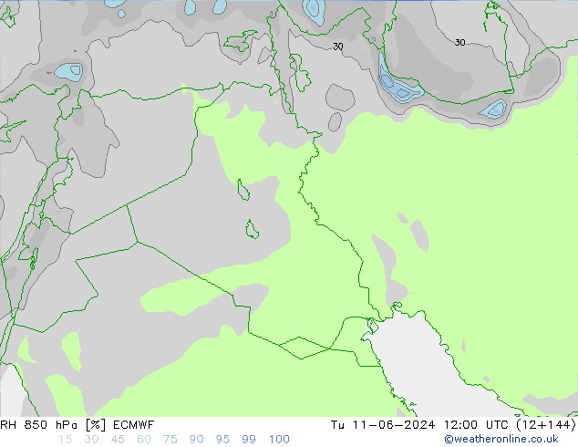 RV 850 hPa ECMWF di 11.06.2024 12 UTC