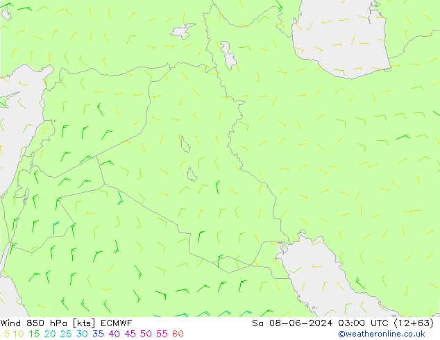 Wind 850 hPa ECMWF Sa 08.06.2024 03 UTC