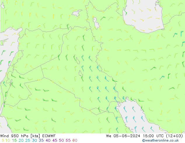 Rüzgar 950 hPa ECMWF Çar 05.06.2024 15 UTC