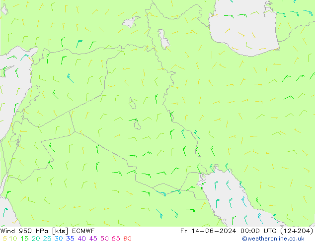 Wind 950 hPa ECMWF Pá 14.06.2024 00 UTC