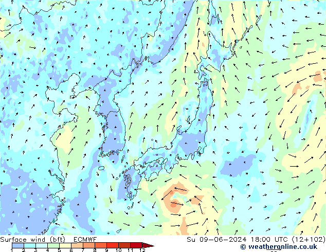 Vent 10 m (bft) ECMWF dim 09.06.2024 18 UTC