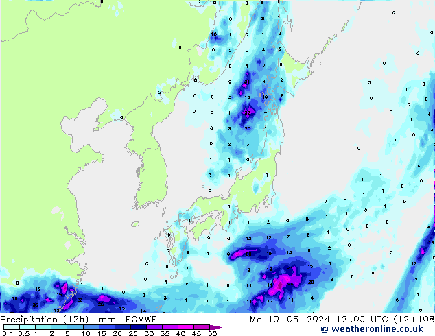 Precipitazione (12h) ECMWF lun 10.06.2024 00 UTC