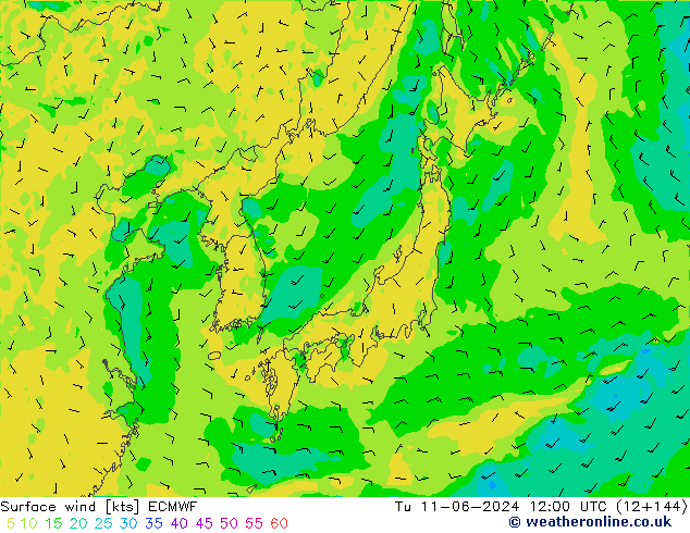 Vent 10 m ECMWF mar 11.06.2024 12 UTC