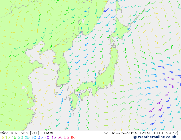 Vento 900 hPa ECMWF Sáb 08.06.2024 12 UTC