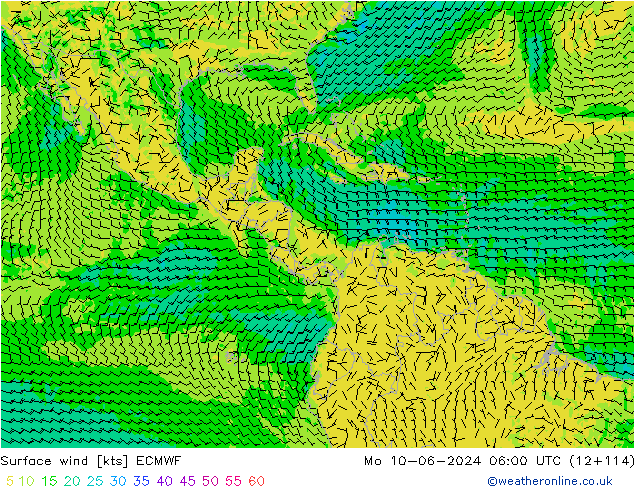 Rüzgar 10 m ECMWF Pzt 10.06.2024 06 UTC