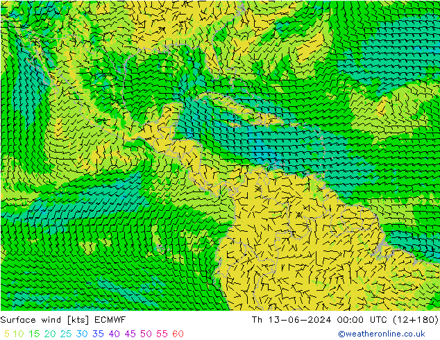 ветер 10 m ECMWF чт 13.06.2024 00 UTC