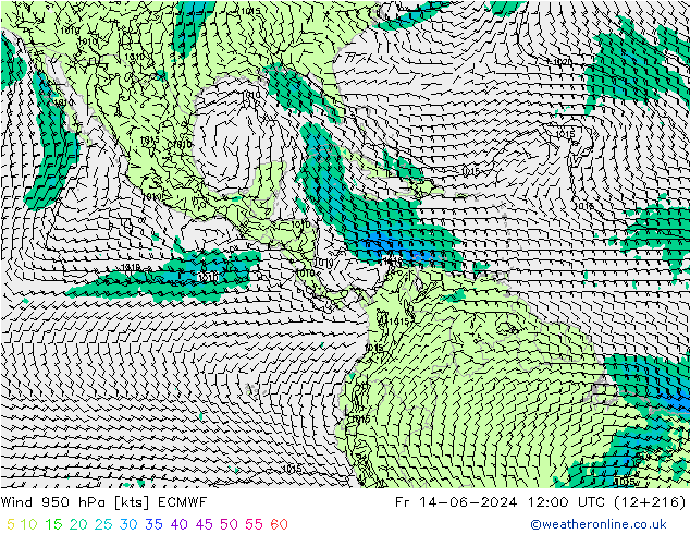 Wind 950 hPa ECMWF Fr 14.06.2024 12 UTC