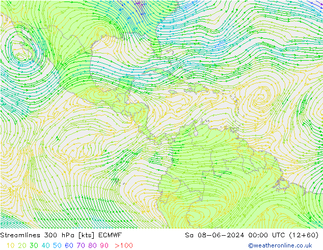 Streamlines 300 hPa ECMWF Sa 08.06.2024 00 UTC