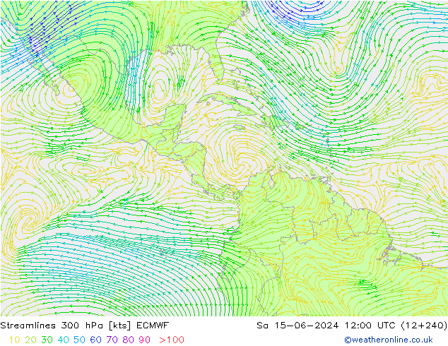 Ligne de courant 300 hPa ECMWF sam 15.06.2024 12 UTC