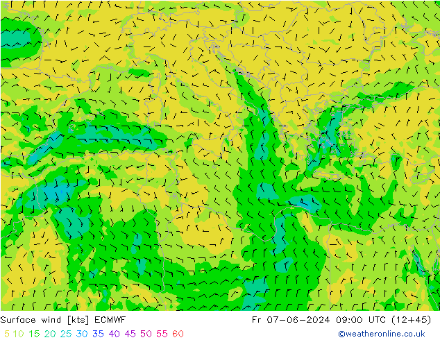 wiatr 10 m ECMWF pt. 07.06.2024 09 UTC