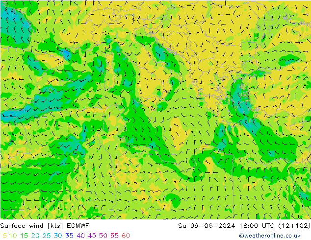  10 m ECMWF  09.06.2024 18 UTC