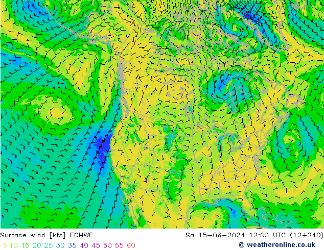 Surface wind ECMWF Sa 15.06.2024 12 UTC