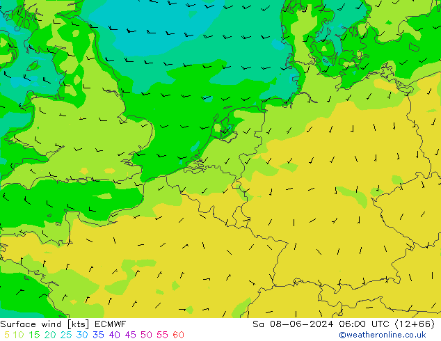 Vento 10 m ECMWF sab 08.06.2024 06 UTC