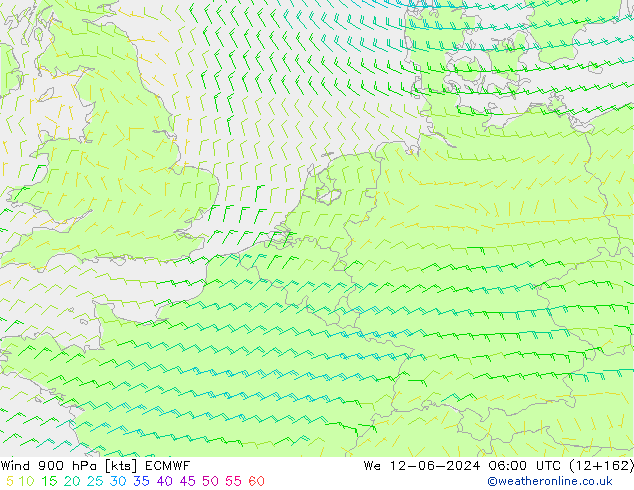 Vento 900 hPa ECMWF Qua 12.06.2024 06 UTC