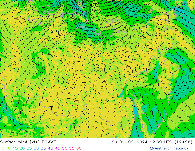 ветер 10 m ECMWF Вс 09.06.2024 12 UTC