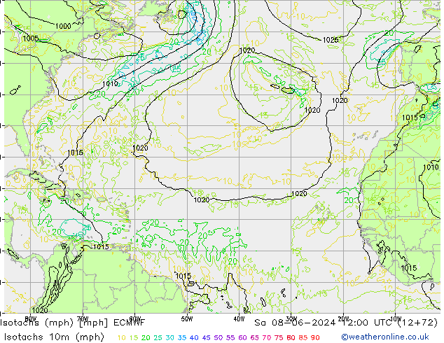 Izotacha (mph) ECMWF so. 08.06.2024 12 UTC