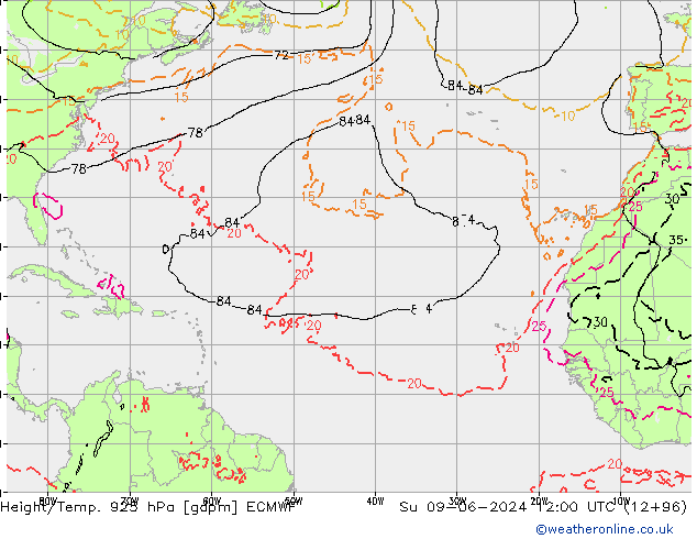 Yükseklik/Sıc. 925 hPa ECMWF Paz 09.06.2024 12 UTC