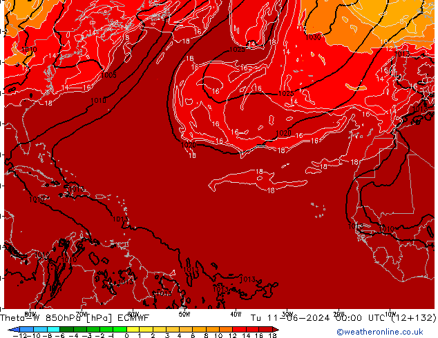 Theta-W 850hPa ECMWF mar 11.06.2024 00 UTC