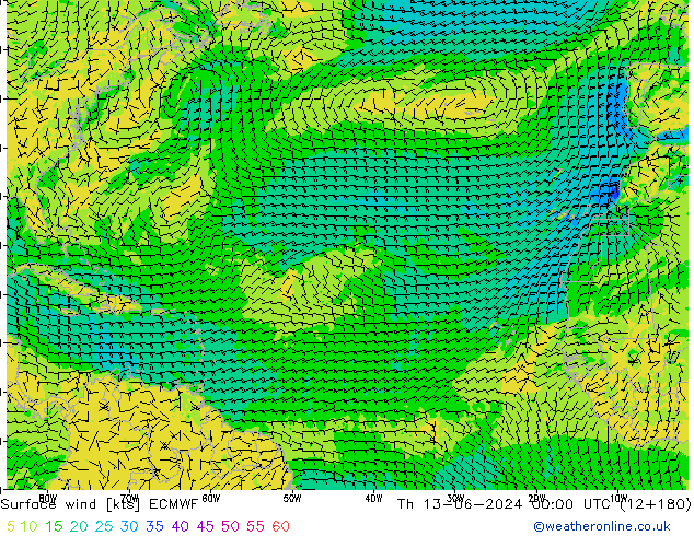 Surface wind ECMWF Th 13.06.2024 00 UTC