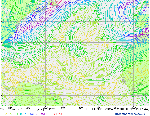 Linea di flusso 300 hPa ECMWF mar 11.06.2024 12 UTC