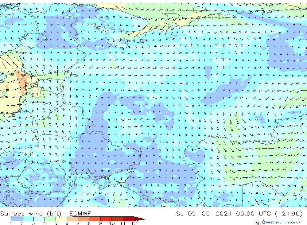 Surface wind (bft) ECMWF Su 09.06.2024 06 UTC